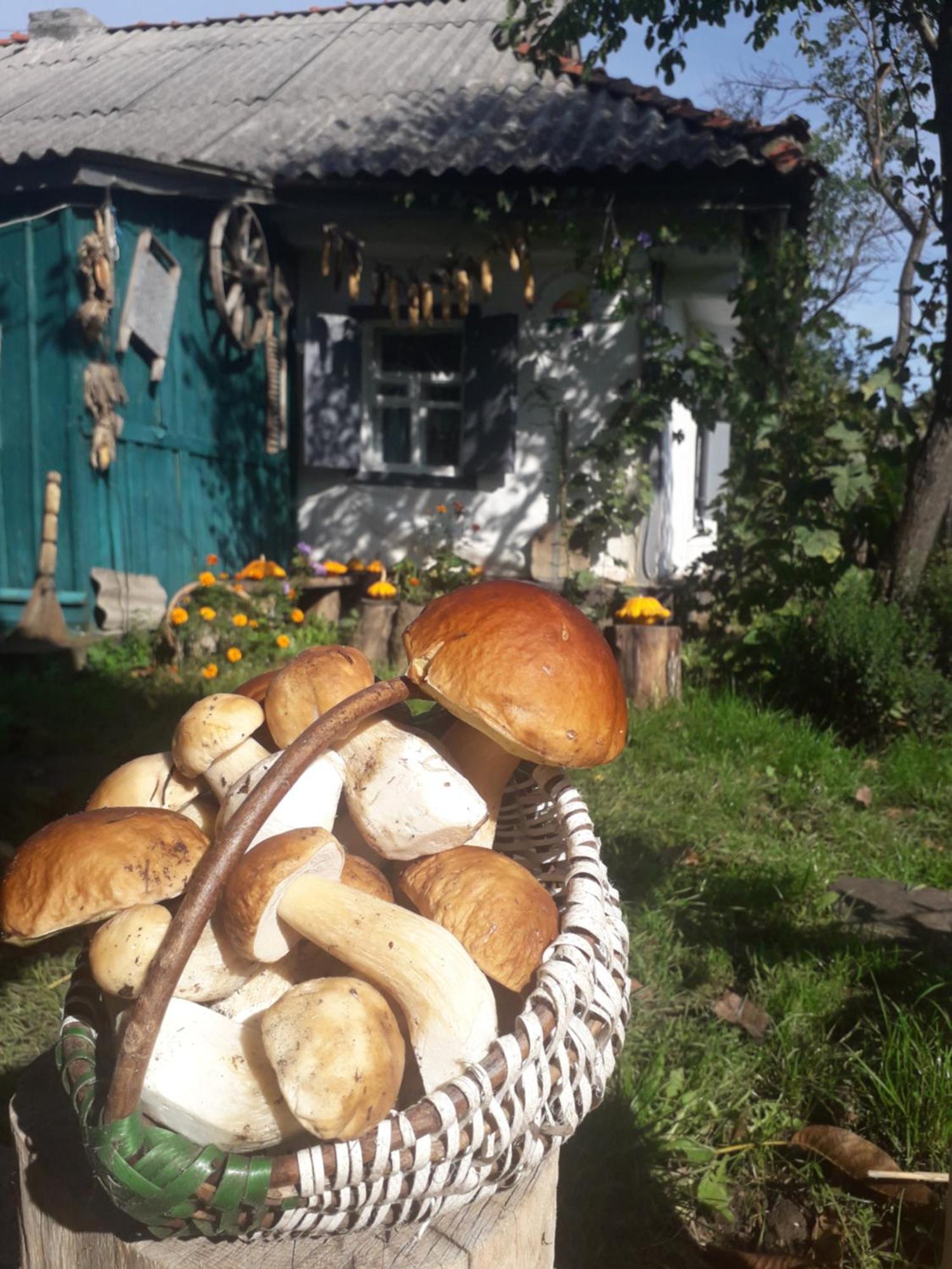 Медова садиба Subbotiv Номер фото